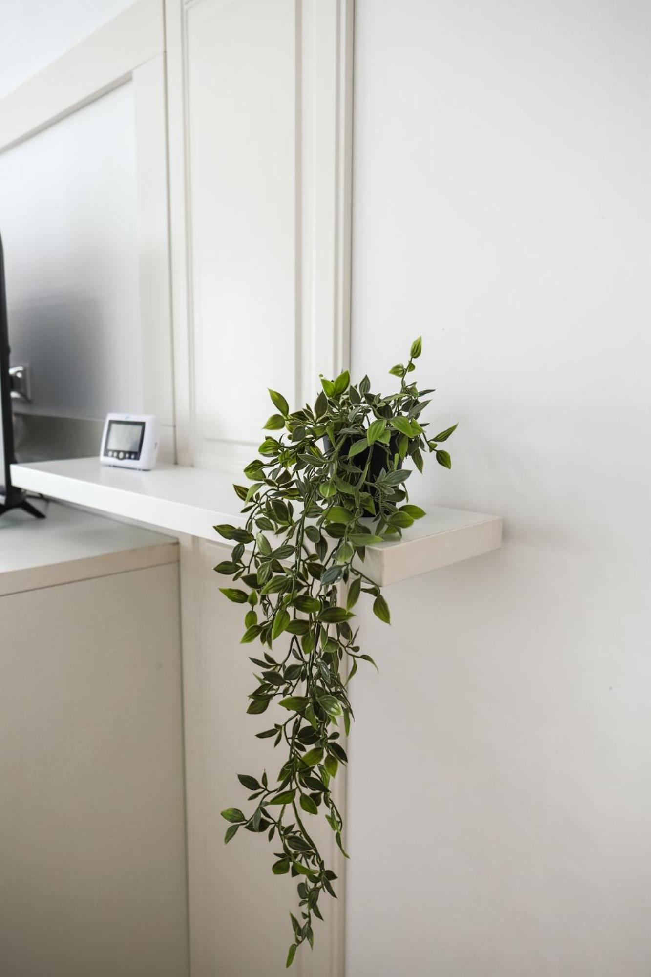 Q Apartament Near Palas Mall Iasi Eksteriør bilde